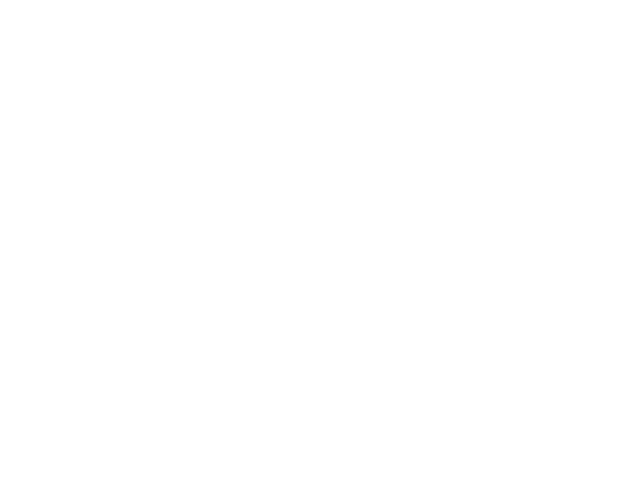 DreamLife